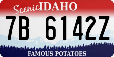 ID license plate 7B6142Z