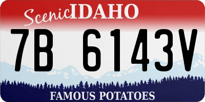 ID license plate 7B6143V