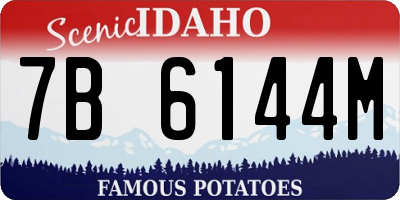 ID license plate 7B6144M