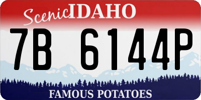 ID license plate 7B6144P