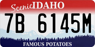 ID license plate 7B6145M