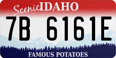 ID license plate 7B6161E