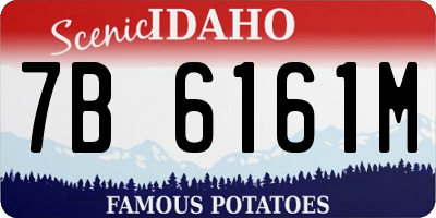 ID license plate 7B6161M