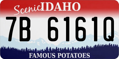 ID license plate 7B6161Q