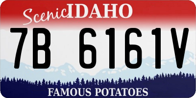 ID license plate 7B6161V