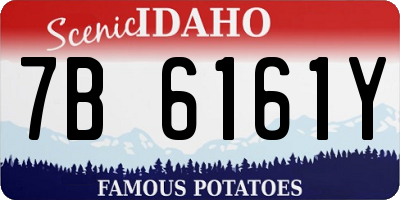 ID license plate 7B6161Y