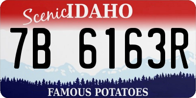 ID license plate 7B6163R