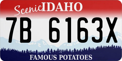 ID license plate 7B6163X