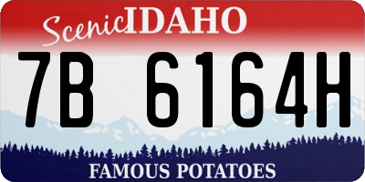 ID license plate 7B6164H