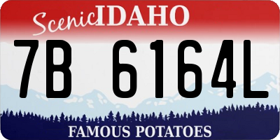 ID license plate 7B6164L