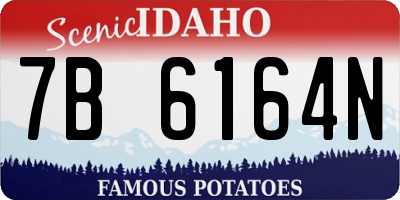 ID license plate 7B6164N