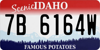 ID license plate 7B6164W