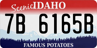 ID license plate 7B6165B
