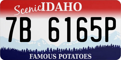 ID license plate 7B6165P
