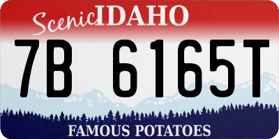ID license plate 7B6165T