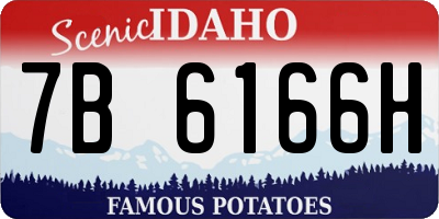 ID license plate 7B6166H