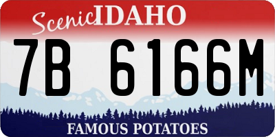 ID license plate 7B6166M