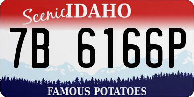 ID license plate 7B6166P