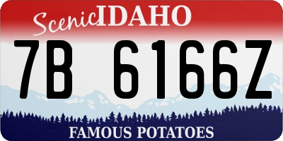 ID license plate 7B6166Z