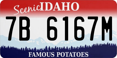 ID license plate 7B6167M