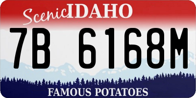ID license plate 7B6168M