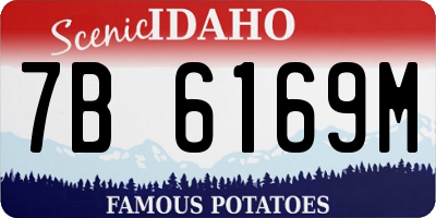 ID license plate 7B6169M