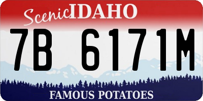 ID license plate 7B6171M