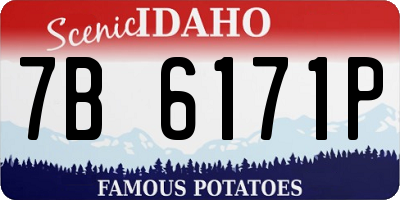 ID license plate 7B6171P