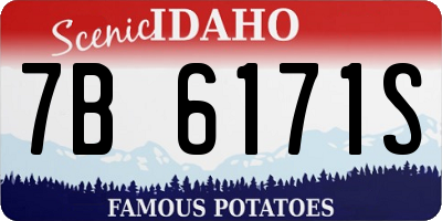 ID license plate 7B6171S