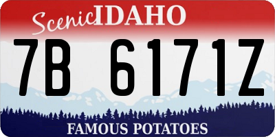 ID license plate 7B6171Z