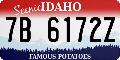 ID license plate 7B6172Z