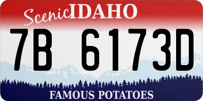 ID license plate 7B6173D