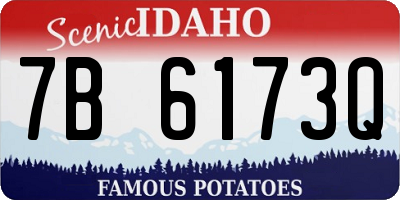 ID license plate 7B6173Q