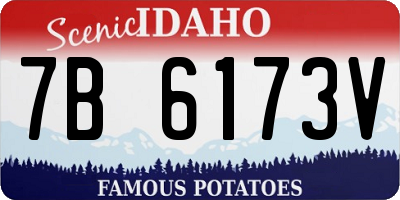 ID license plate 7B6173V