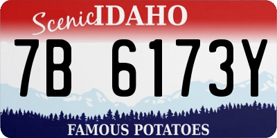 ID license plate 7B6173Y