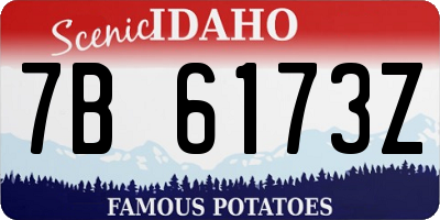 ID license plate 7B6173Z