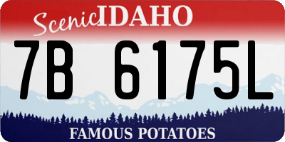 ID license plate 7B6175L