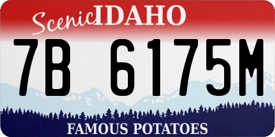ID license plate 7B6175M