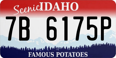 ID license plate 7B6175P