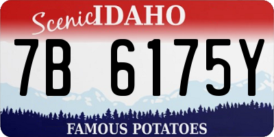 ID license plate 7B6175Y