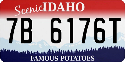ID license plate 7B6176T