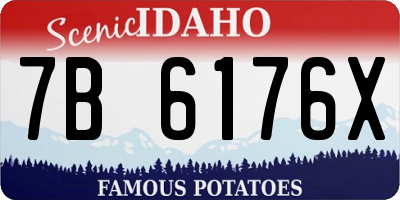 ID license plate 7B6176X