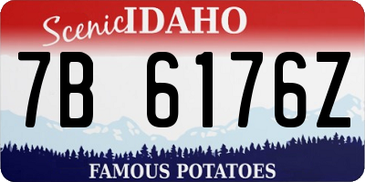 ID license plate 7B6176Z