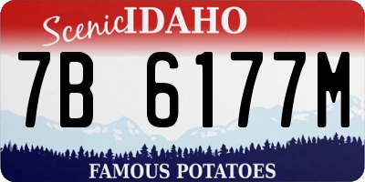 ID license plate 7B6177M