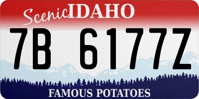 ID license plate 7B6177Z