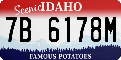 ID license plate 7B6178M