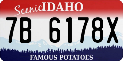 ID license plate 7B6178X