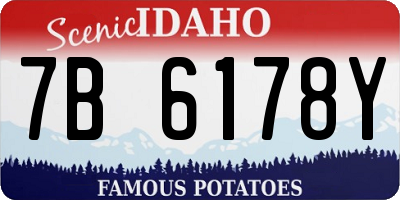 ID license plate 7B6178Y