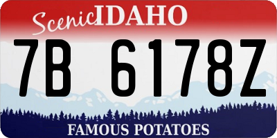 ID license plate 7B6178Z