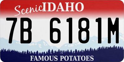 ID license plate 7B6181M